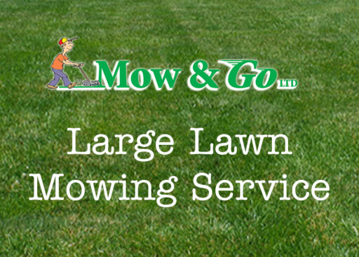 Mow and Go Large Lawn Mowing Service