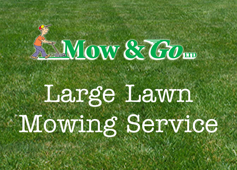 Mow and Go Large Lawn Mowing Service